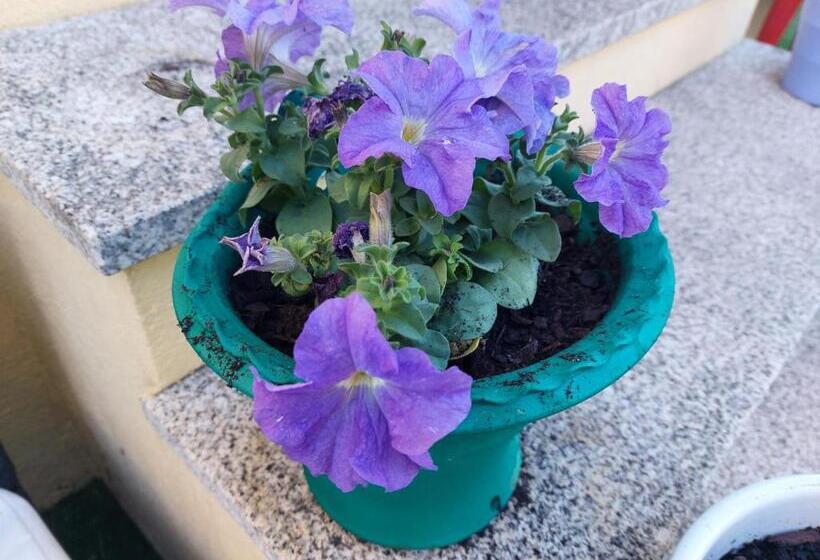 پانسیون Sleeping Sarria