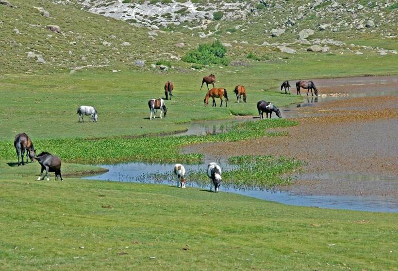 בית מלון כפרי Hôtel Castel De Vergio