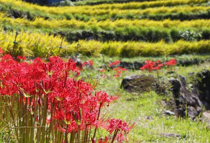 펜션 Guesthouse Sora