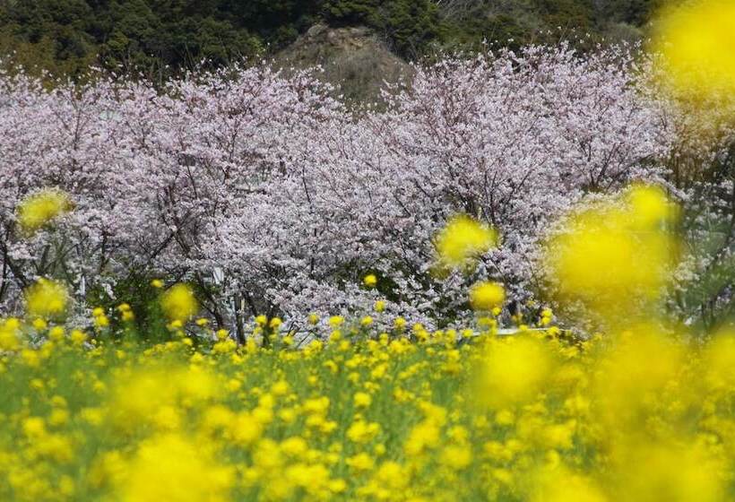 펜션 Guesthouse Sora