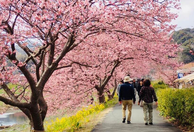 펜션 Guesthouse Sora