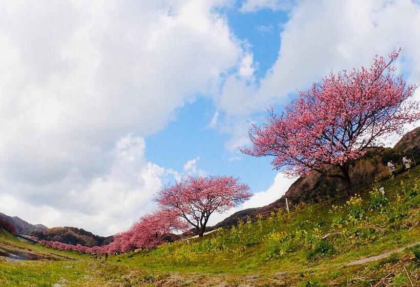 펜션 Guesthouse Sora