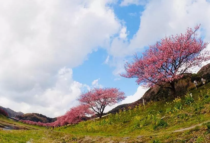 Majatalo Guesthouse Sora