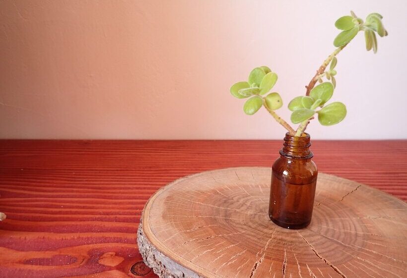 펜션 Guesthouse Sora