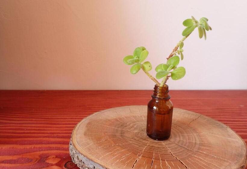 펜션 Guesthouse Sora