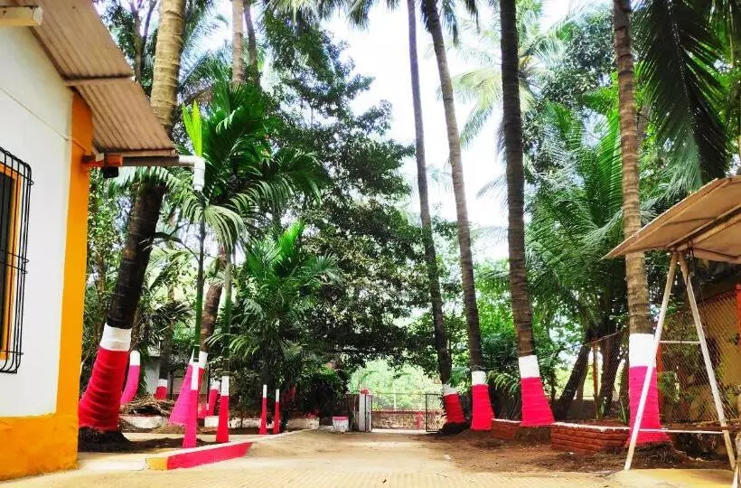 リゾートホテル Ashish Baug Cottage