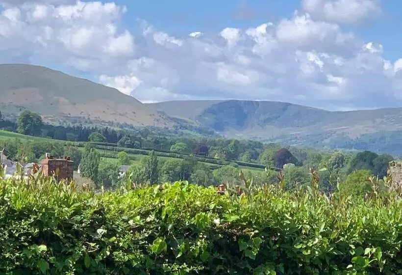 ベッドアンドブレックファースト Swn Yr Afon