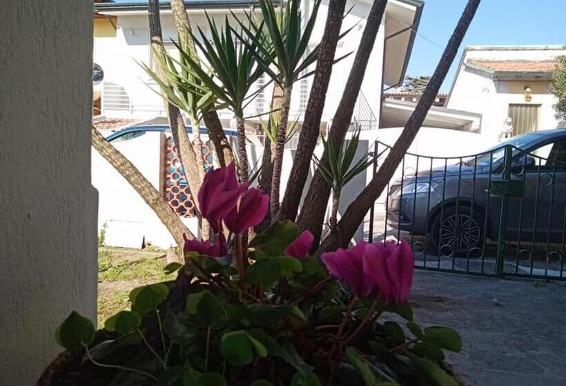 Florinda B&b Viareggio
