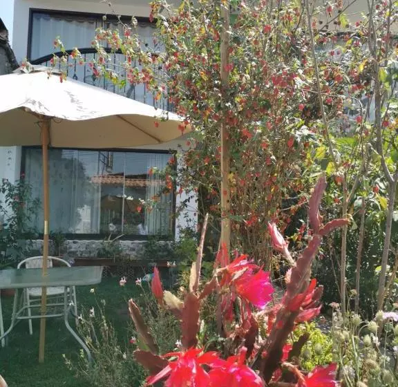 پانسیون Quilla House 2