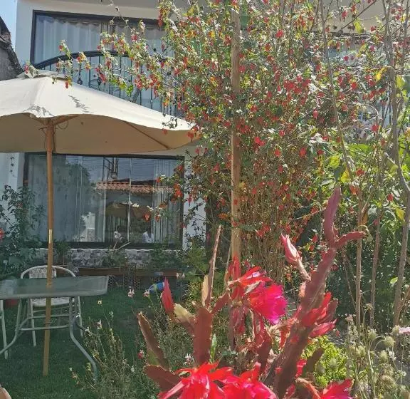 پانسیون Quilla House 2