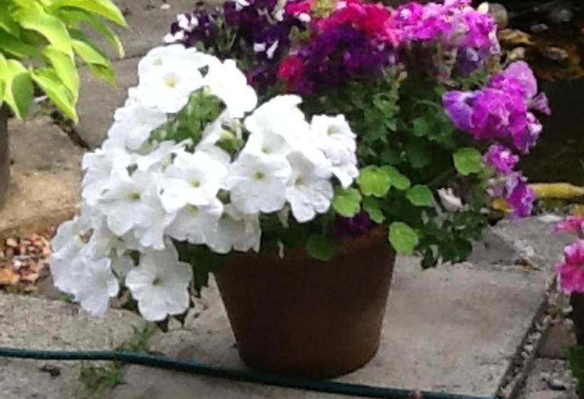 ベッドアンドブレックファースト Arron House