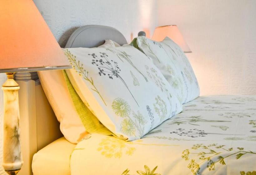 Bed and Breakfast The Owls