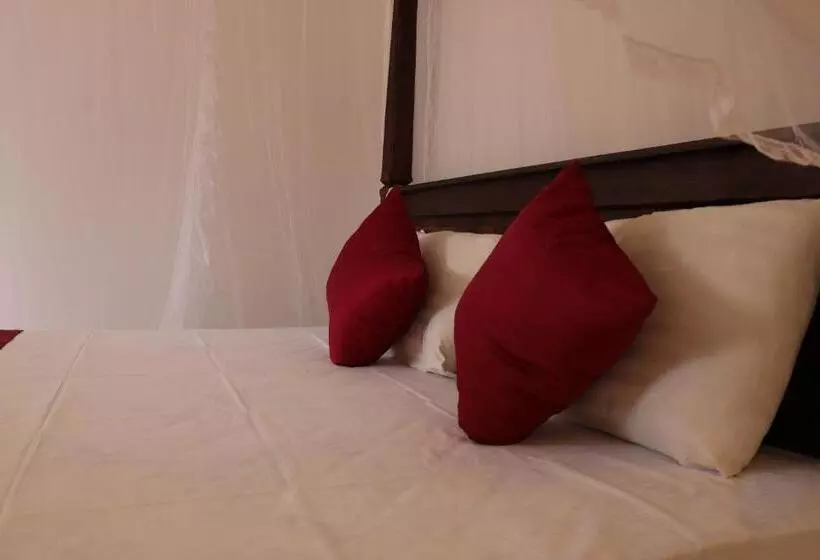 پانسیون Masith Guest House