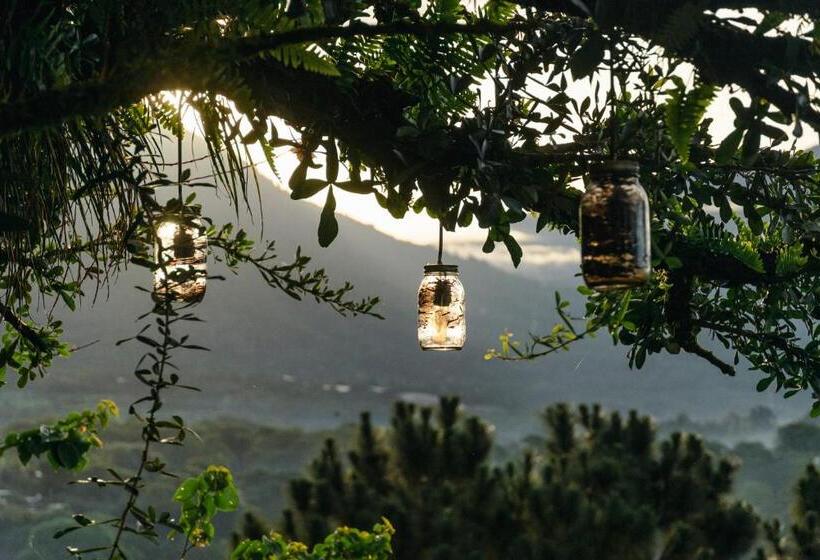 پانسیون Juayua