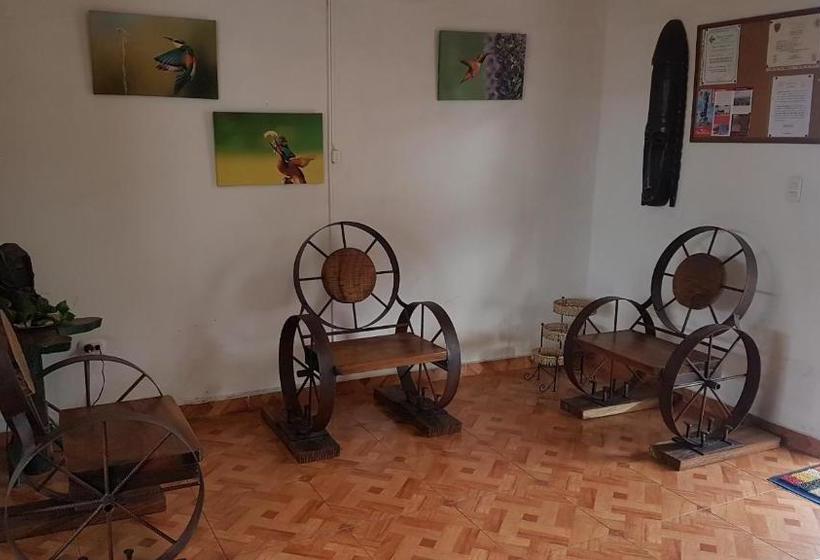 Pension Villa Apolonia