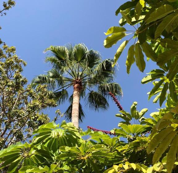 Liberty Cottage Tenerife