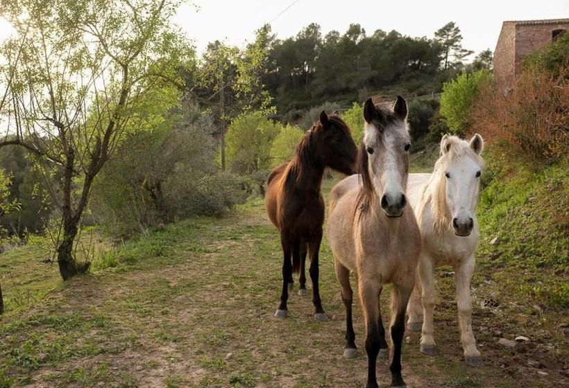 پانسیون Masia Casajoana Rural