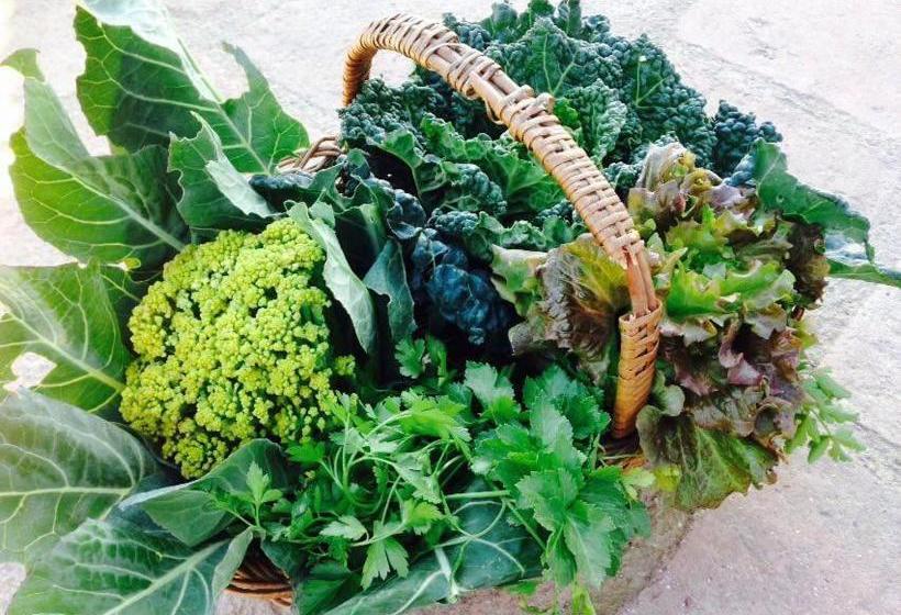 پانسیون Masia Casajoana Rural