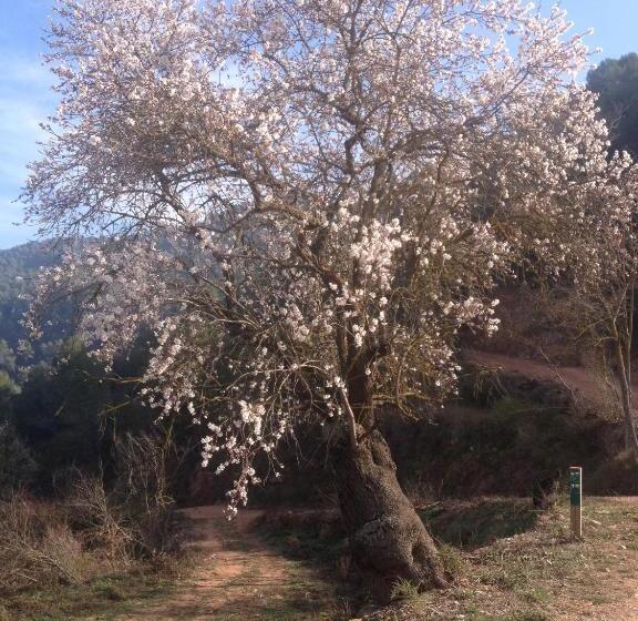 پانسیون Masia Casajoana Rural
