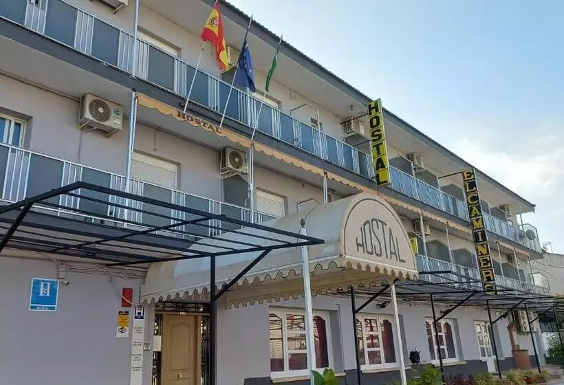 ペンション Hostal Rural El Caminero