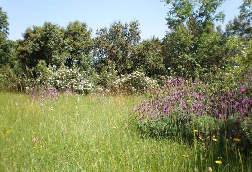 膳宿费 Hostal Restaurante Alto Rey