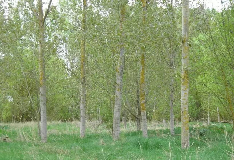 ペンション Hostal Catalina De Austria