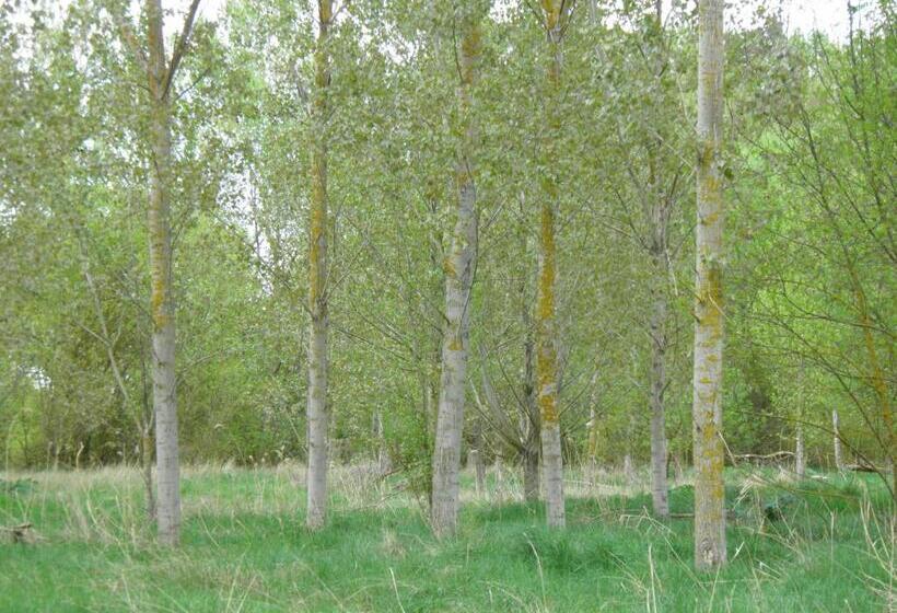 ペンション Hostal Catalina De Austria