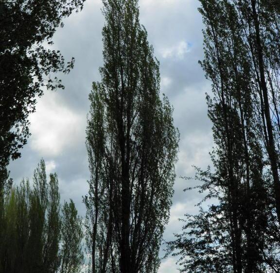 ペンション Hostal Catalina De Austria