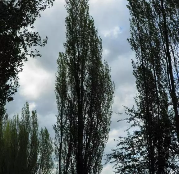 ペンション Hostal Catalina De Austria