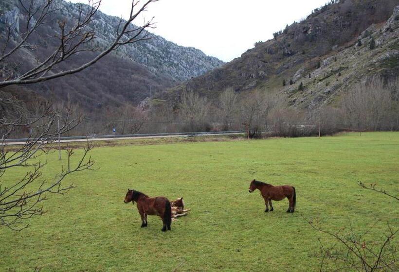 بنسيون Moto Rural Vegalion