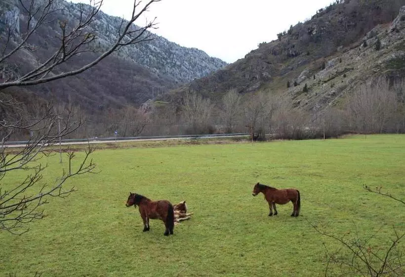 ペンション Moto Rural Vegalion