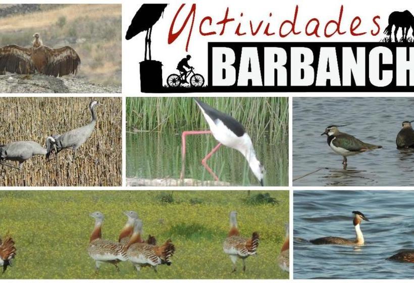 Apartamento Barbancho