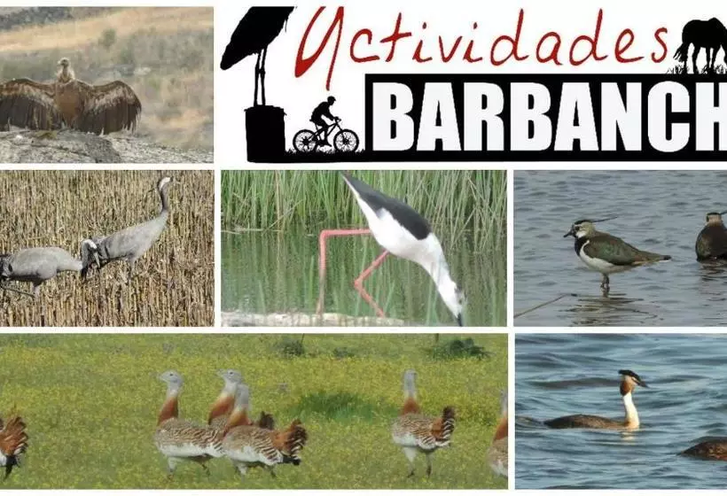 Apartamento Barbancho