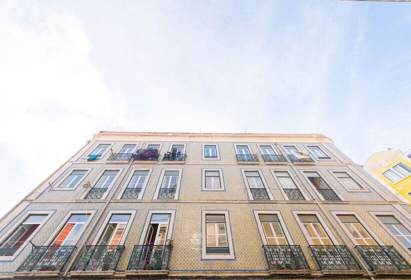 Typical Almirante By Homing