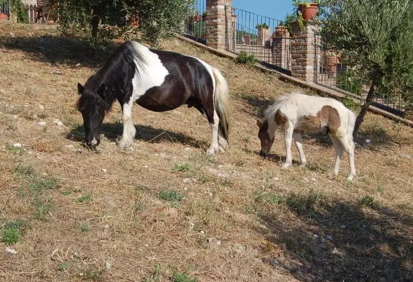 Hotelli Agriturismo Olivastrella