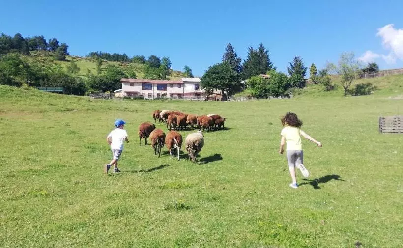 ホテル Azienda Agrituristica Cascina La Botta