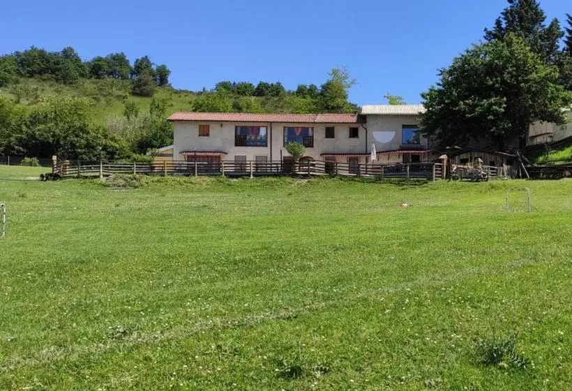 ホテル Azienda Agrituristica Cascina La Botta