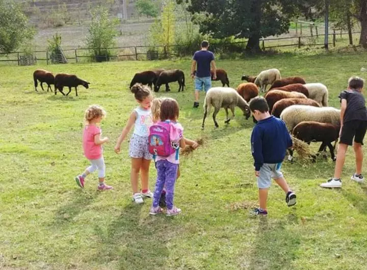 ホテル Azienda Agrituristica Cascina La Botta