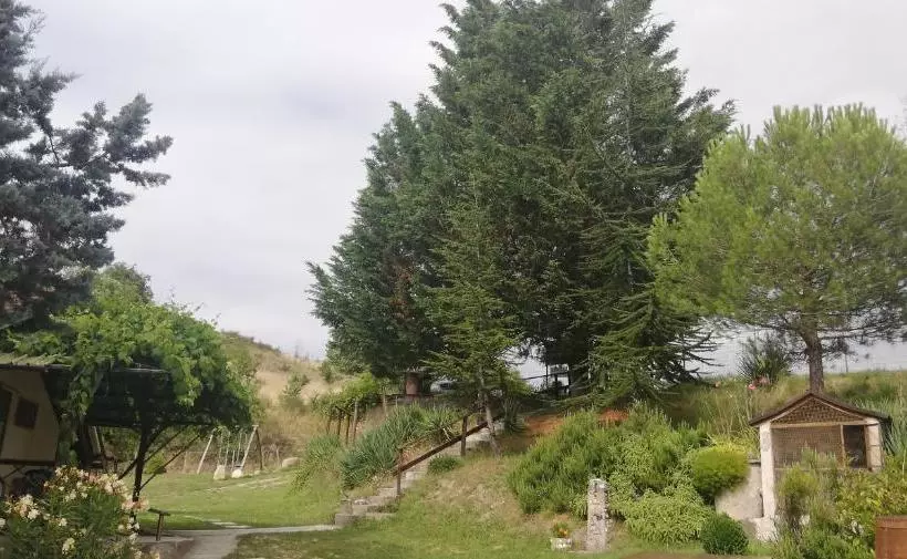 ホテル Azienda Agrituristica Cascina La Botta
