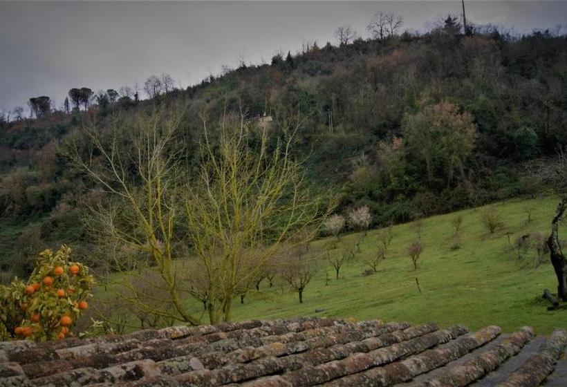 בית מלון כפרי Agriturismo Monterone