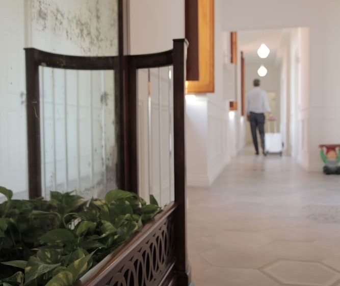 پانسیون Ravida Suites