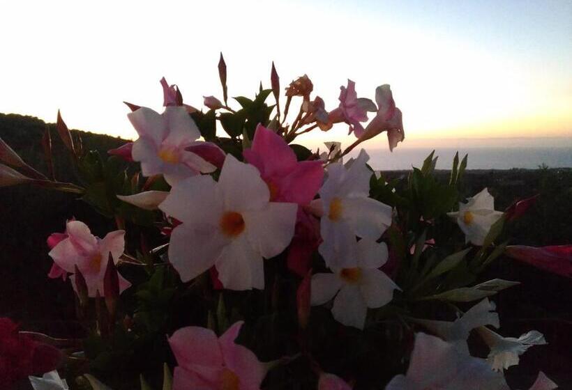 酒店 Agriturismo Le Campanelle   Sicilia   Cefalù