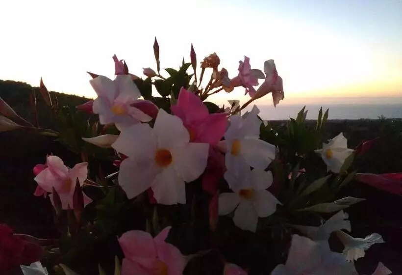 ホテル Agriturismo Le Campanelle   Sicilia   Cefalù