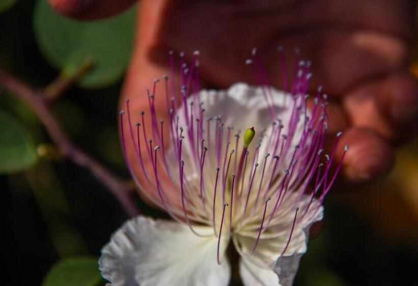 هتل Agriturismo Al Cappero