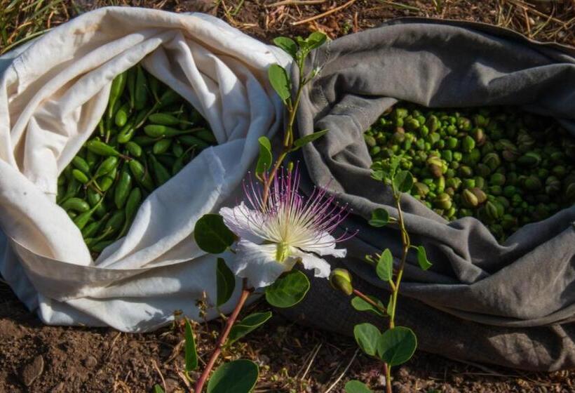 هتل Agriturismo Al Cappero