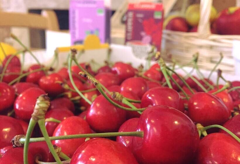 酒店 Bio Agritur Le Millemele