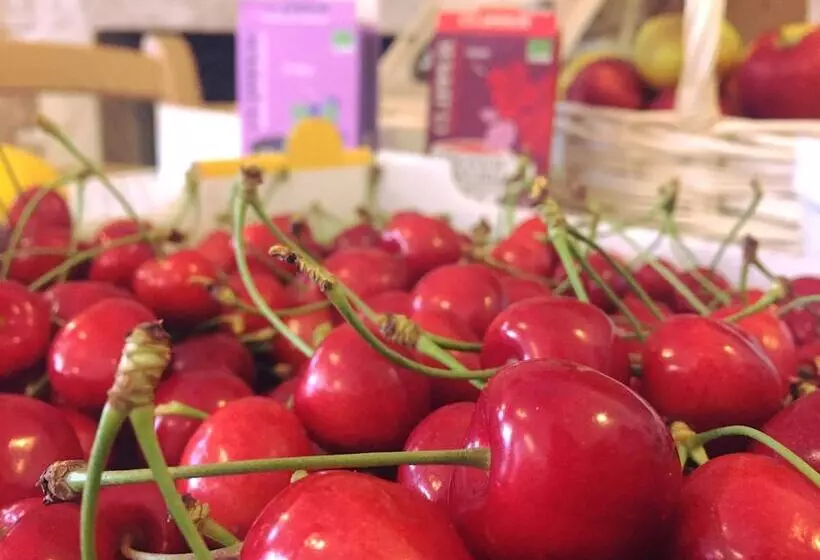 ホテル Bio Agritur Le Millemele