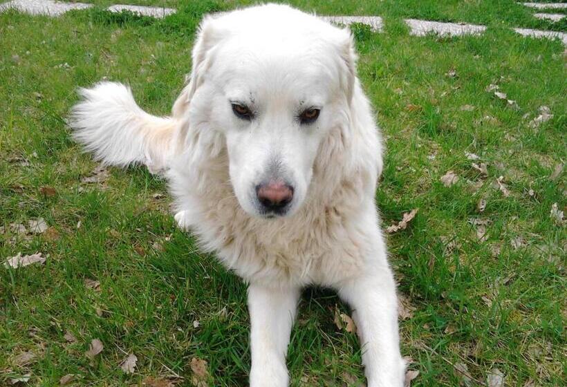 فندق Tenuta Carbognano