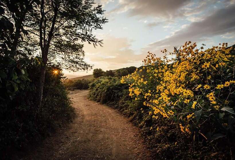 בית מלון כפרי La Cerreta Terme Di Sassetta