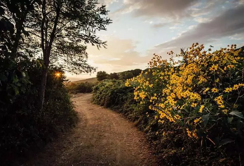 Hotelli La Cerreta   Terme Di Sassetta
